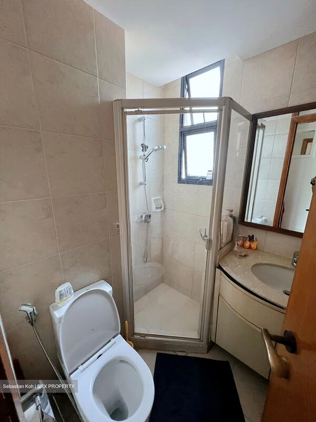 Dunman View (D15), Condominium #507231831